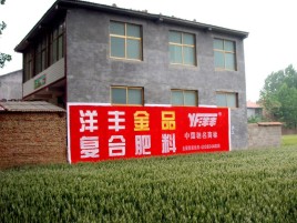 双柏如何让墙体广告展现最大化效果