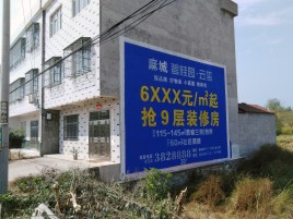 双柏墙体广告质量分析