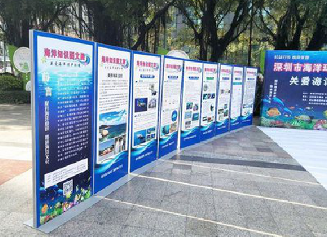 双柏KT板的种类和知识。